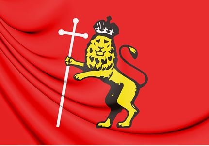 Иллюстрация к книге — История флагов. От рыцарских знамен до государственных штандартов [i_230.jpg]