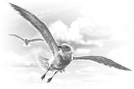 Иллюстрация к книге — Лето в Зоммербю [i_001.jpg]