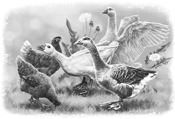 Иллюстрация к книге — Лето в Зоммербю [i_007.jpg]