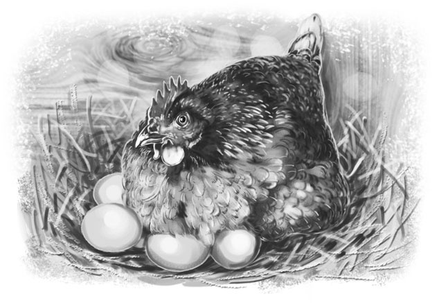 Иллюстрация к книге — Лето в Зоммербю [i_008.jpg]