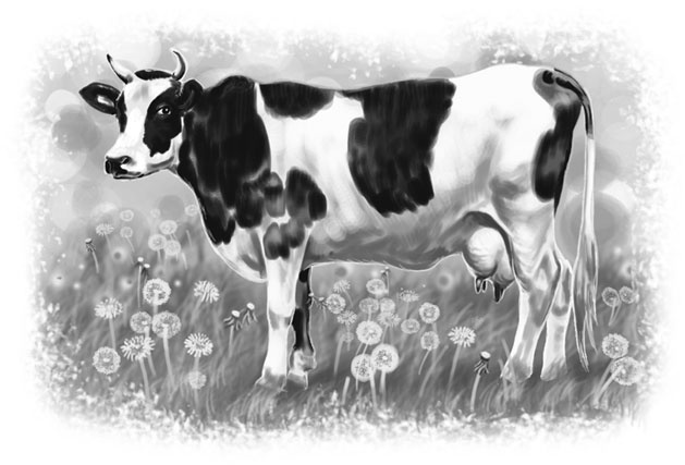 Иллюстрация к книге — Лето в Зоммербю [i_012.jpg]