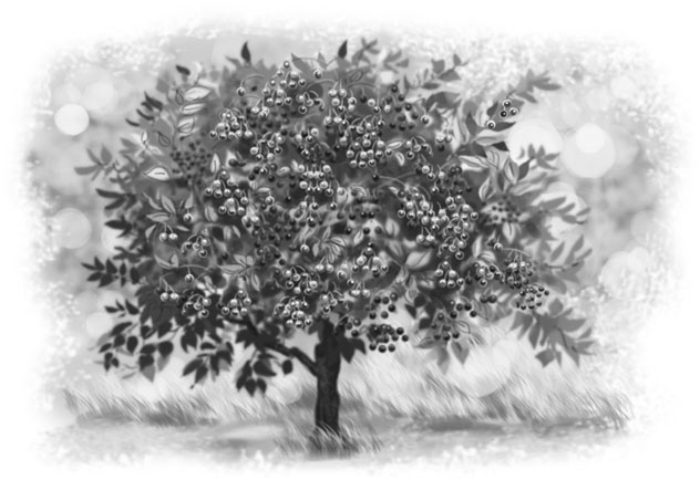 Иллюстрация к книге — Лето в Зоммербю [i_020.jpg]