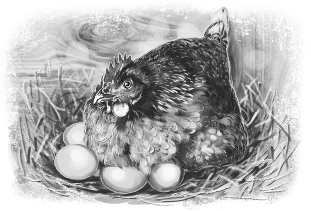 Иллюстрация к книге — Лето в Зоммербю [i_031.jpg]