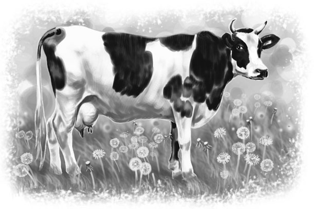 Иллюстрация к книге — Лето в Зоммербю [i_059.jpg]