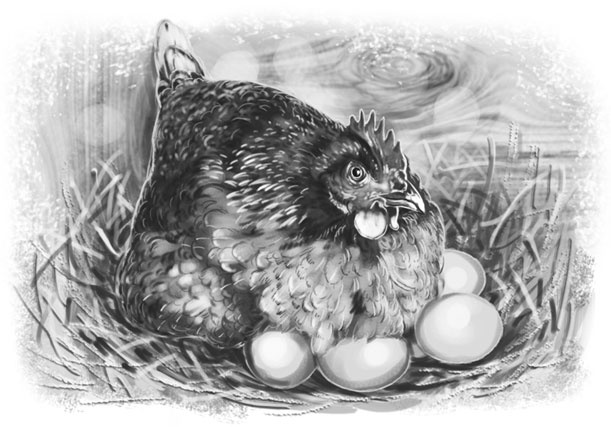 Иллюстрация к книге — Лето в Зоммербю [i_072.jpg]