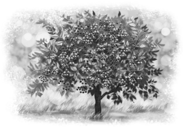 Иллюстрация к книге — Лето в Зоммербю [i_073.jpg]