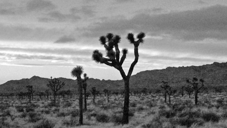 Иллюстрация к книге — Непарадная Америка [i_001.jpg]