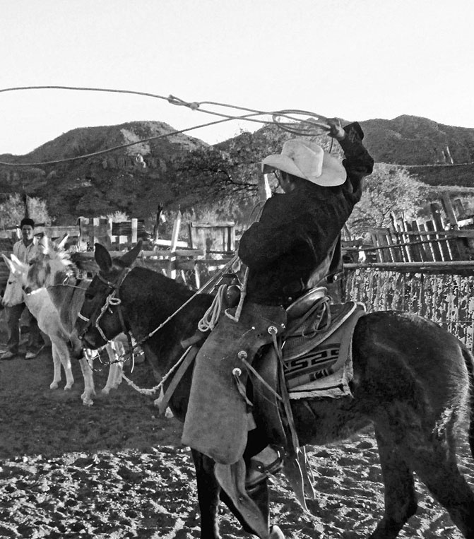 Иллюстрация к книге — Непарадная Америка [i_027.jpg]