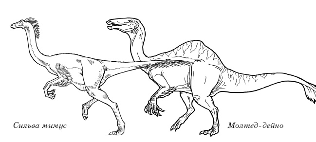 Иллюстрация к книге — Сокровище последнего самурая [i_078.jpg]