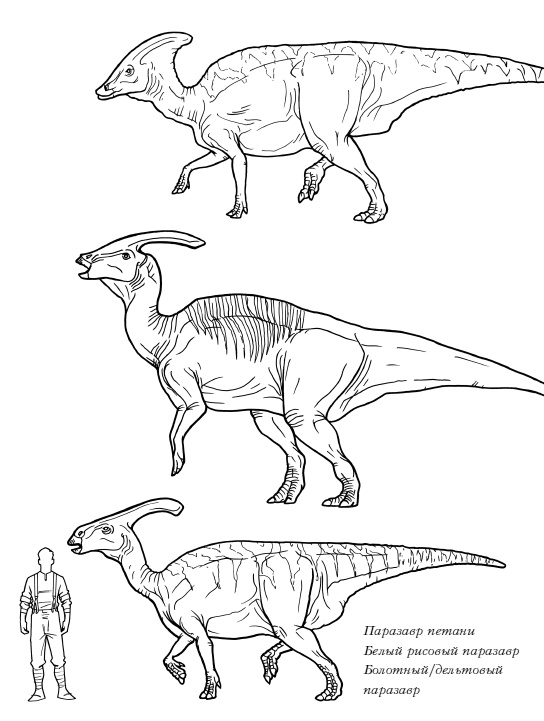 Иллюстрация к книге — Сокровище последнего самурая [i_080.jpg]
