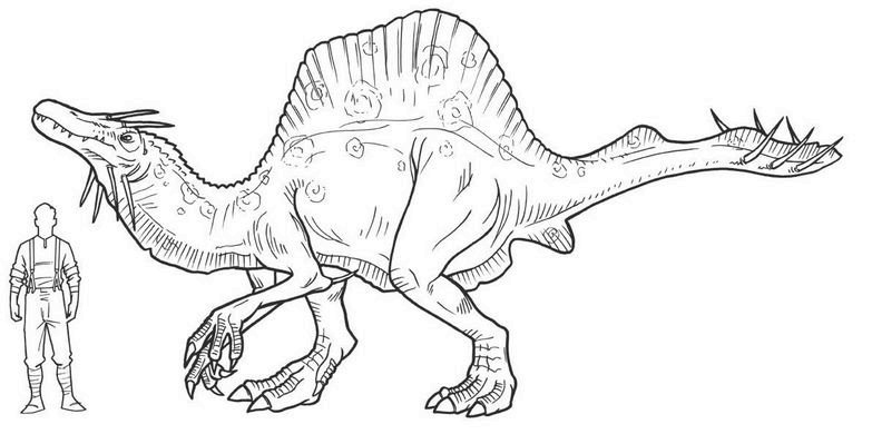 Иллюстрация к книге — Сокровище последнего самурая [i_081.jpg]