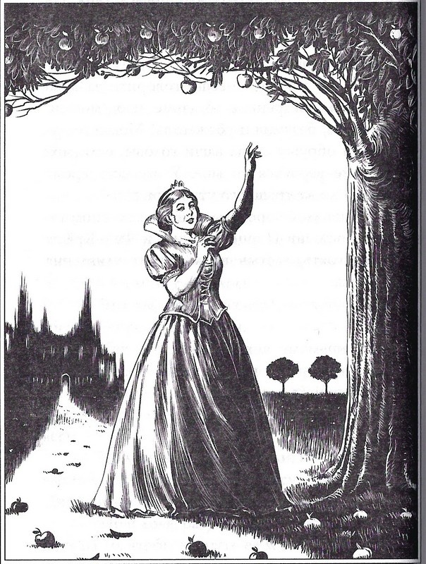 Иллюстрация к книге — Злые сёстры. История трёх ведьм [_080.jpg]