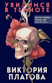 Книга Увидимся в темноте