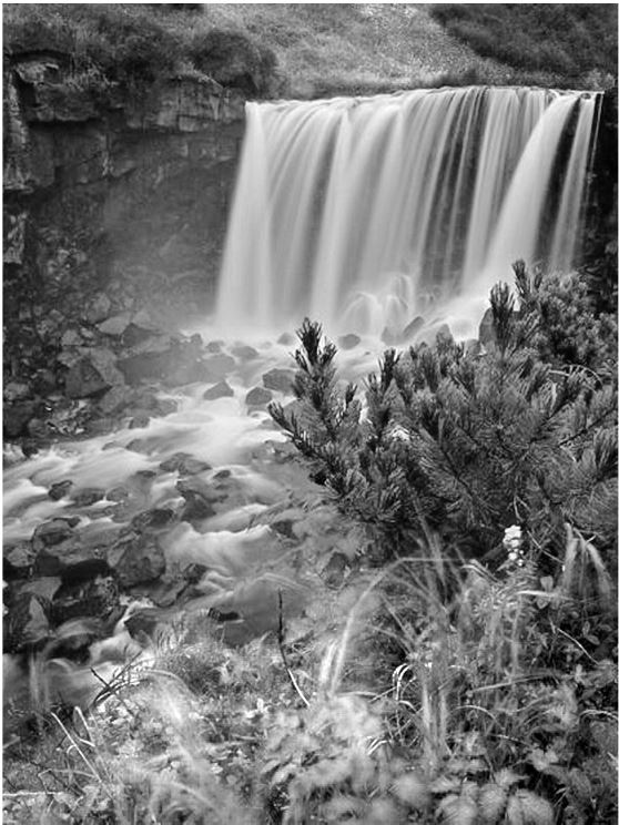 Иллюстрация к книге — «Принц» и «цареубийца». История Павла Строганова и Жильбера Ромма [i_048.jpg]