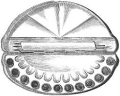 Иллюстрация к книге — Как приготовить кролика, спасти душу и найти любовника [i_030.jpg]