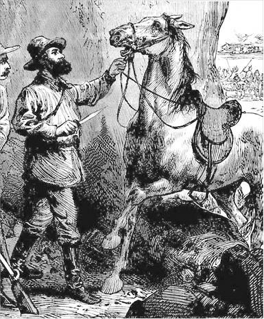 Иллюстрация к книге — Смертельный выстрел [i_030.jpg]