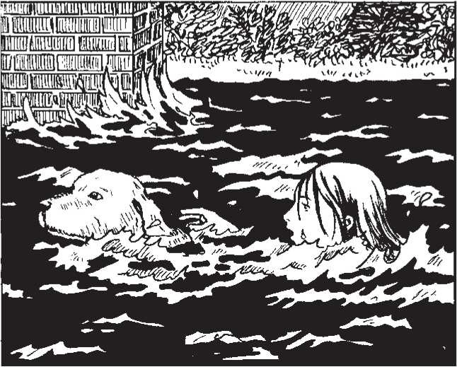 Иллюстрация к книге — Пёс по имени Мани [i_003.jpg]