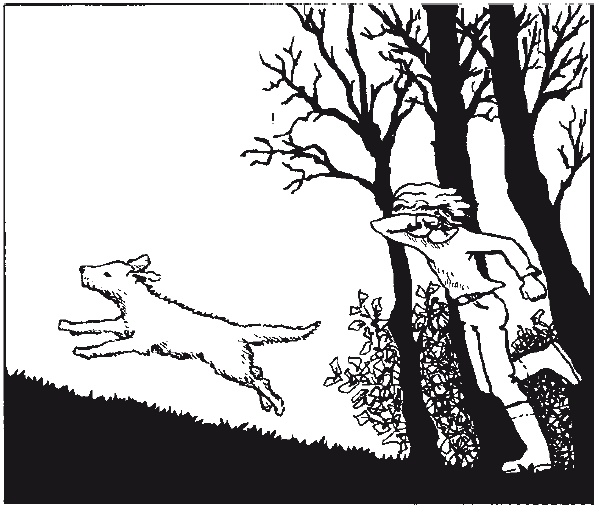 Иллюстрация к книге — Пёс по имени Мани [i_016.jpg]