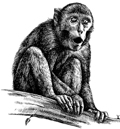 Иллюстрация к книге — Взламывая психологию [i_055.jpg]