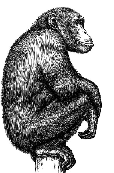 Иллюстрация к книге — Взламывая психологию [i_056.jpg]