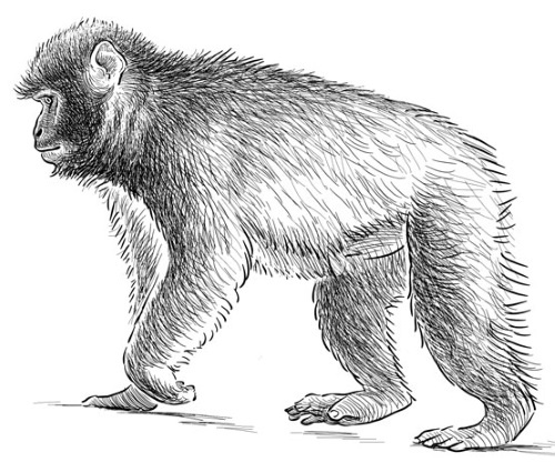 Иллюстрация к книге — Взламывая психологию [i_057.jpg]