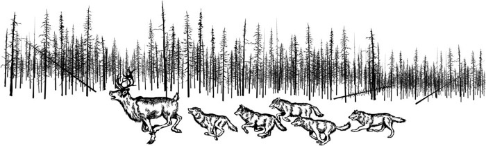 Иллюстрация к книге — Взламывая психологию [i_058.jpg]