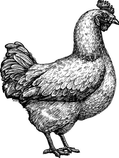 Иллюстрация к книге — Взламывая психологию [i_075.jpg]