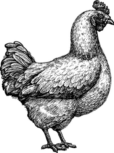 Иллюстрация к книге — Взламывая психологию [i_139.jpg]