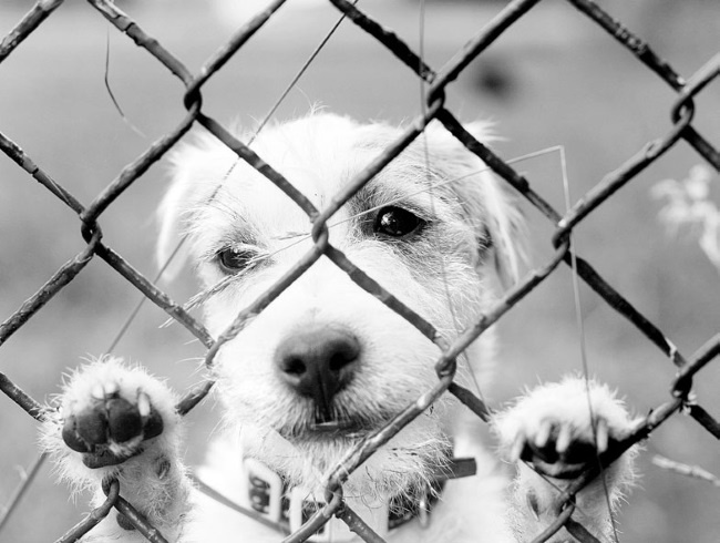 Иллюстрация к книге — Взламывая психологию [i_196.jpg]