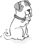 Иллюстрация к книге — Вечеринка для щенка [i_001.jpg]