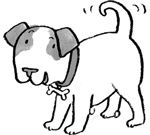 Иллюстрация к книге — Вечеринка для щенка [i_049.jpg]