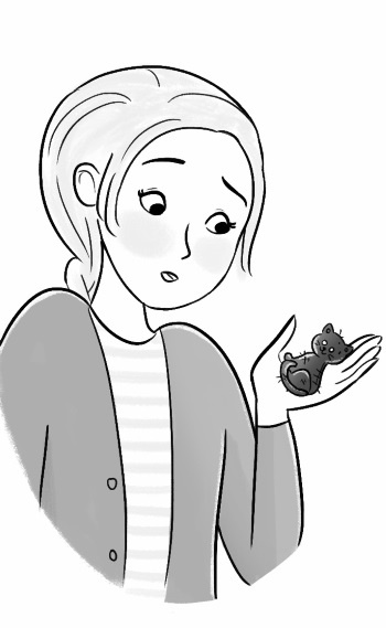 Иллюстрация к книге — Сара и роль мечты [i_001.jpg]