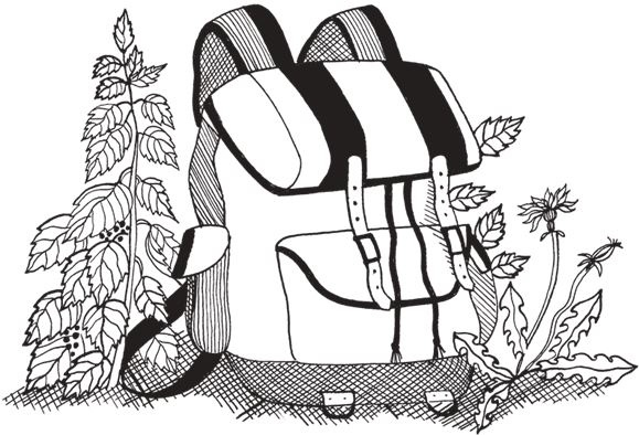 Иллюстрация к книге — Тайна виллы «Лунный камень» [i_044.jpg]