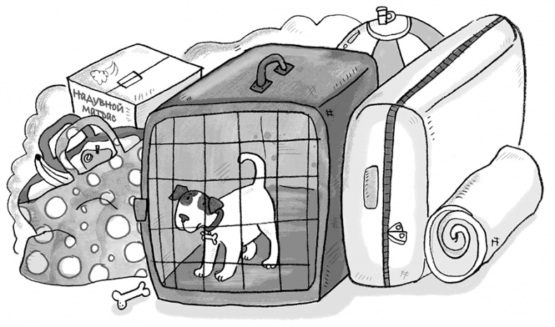 Иллюстрация к книге — Самый милый Проказник [i_012.jpg]