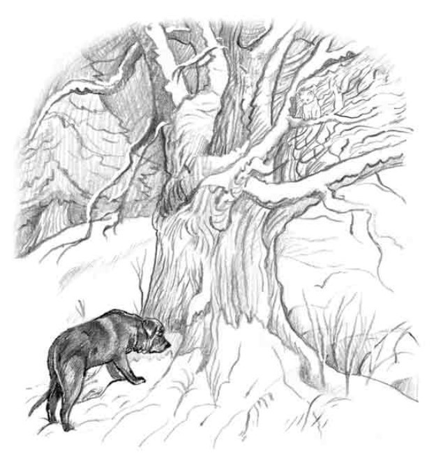 Иллюстрация к книге — Рождественские истории. Снежный кот [pic21.jpg]