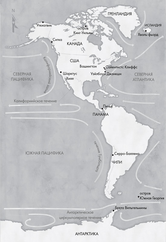 Иллюстрация к книге — Наблюдая за китами [i_001.jpg]