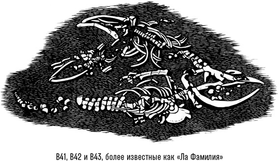 Иллюстрация к книге — Наблюдая за китами [i_011.jpg]