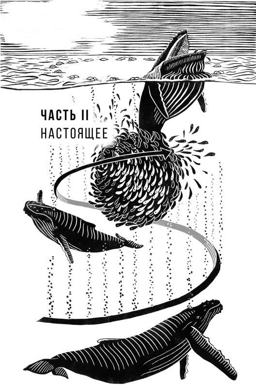 Иллюстрация к книге — Наблюдая за китами [i_014.jpg]