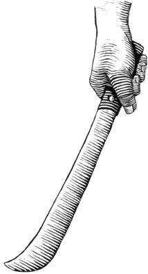 Иллюстрация к книге — Наблюдая за китами [i_017.jpg]