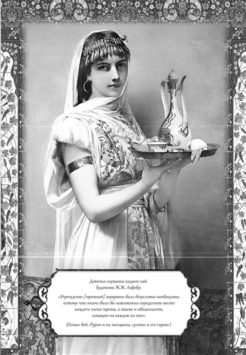 Иллюстрация к книге — Роксолана. Великолепный век султана Сулеймана [i_006.jpg]