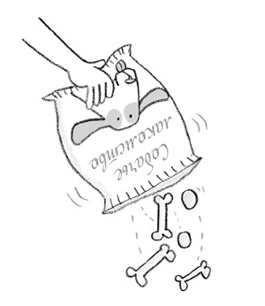 Иллюстрация к книге — Непослушная звезда [block_00114460.jpg]