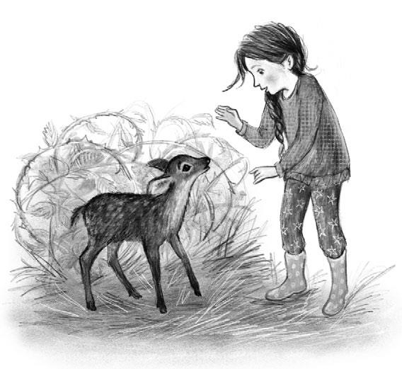 Иллюстрация к книге — Оленёнок Крапинка, или Бархатистый носик [i_001.jpg]