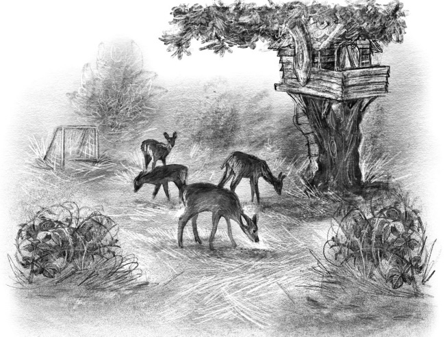 Иллюстрация к книге — Оленёнок Крапинка, или Бархатистый носик [i_012.jpg]