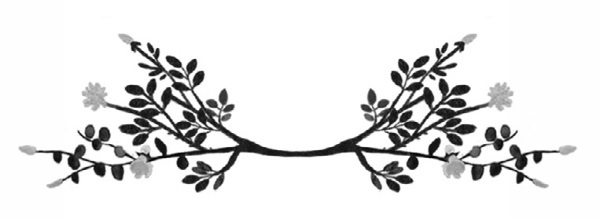 Иллюстрация к книге — Оленёнок Крапинка, или Бархатистый носик [i_039.jpg]