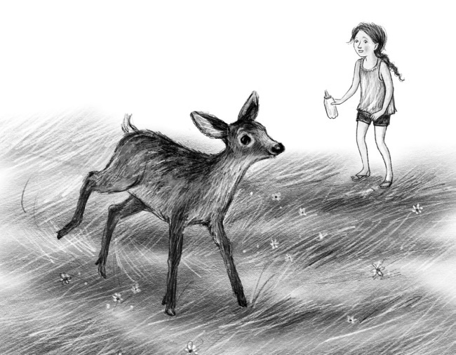 Иллюстрация к книге — Оленёнок Крапинка, или Бархатистый носик [i_053.jpg]