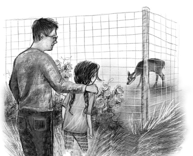 Иллюстрация к книге — Оленёнок Крапинка, или Бархатистый носик [i_055.jpg]