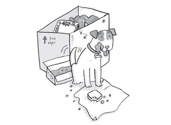 Иллюстрация к книге — Загадай желание! [i_033.jpg]