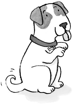 Иллюстрация к книге — Загадай желание! [i_037.jpg]