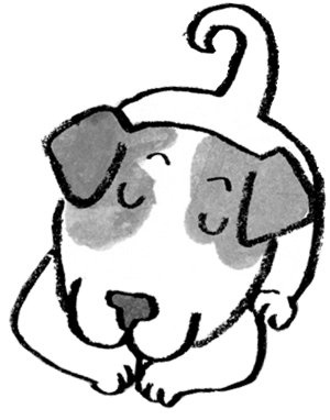 Иллюстрация к книге — Загадай желание! [i_044.jpg]