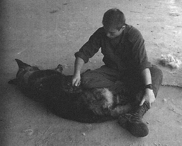 Иллюстрация к книге — Собачья служба. Истории израильского военного кинолога [i_008.jpg]